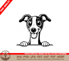 Peeking Italian Greyhound SVG Illustration