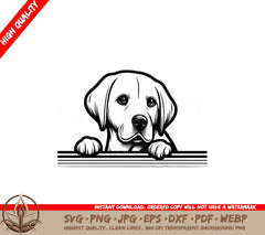 Peeking Labrador Retriever SVG