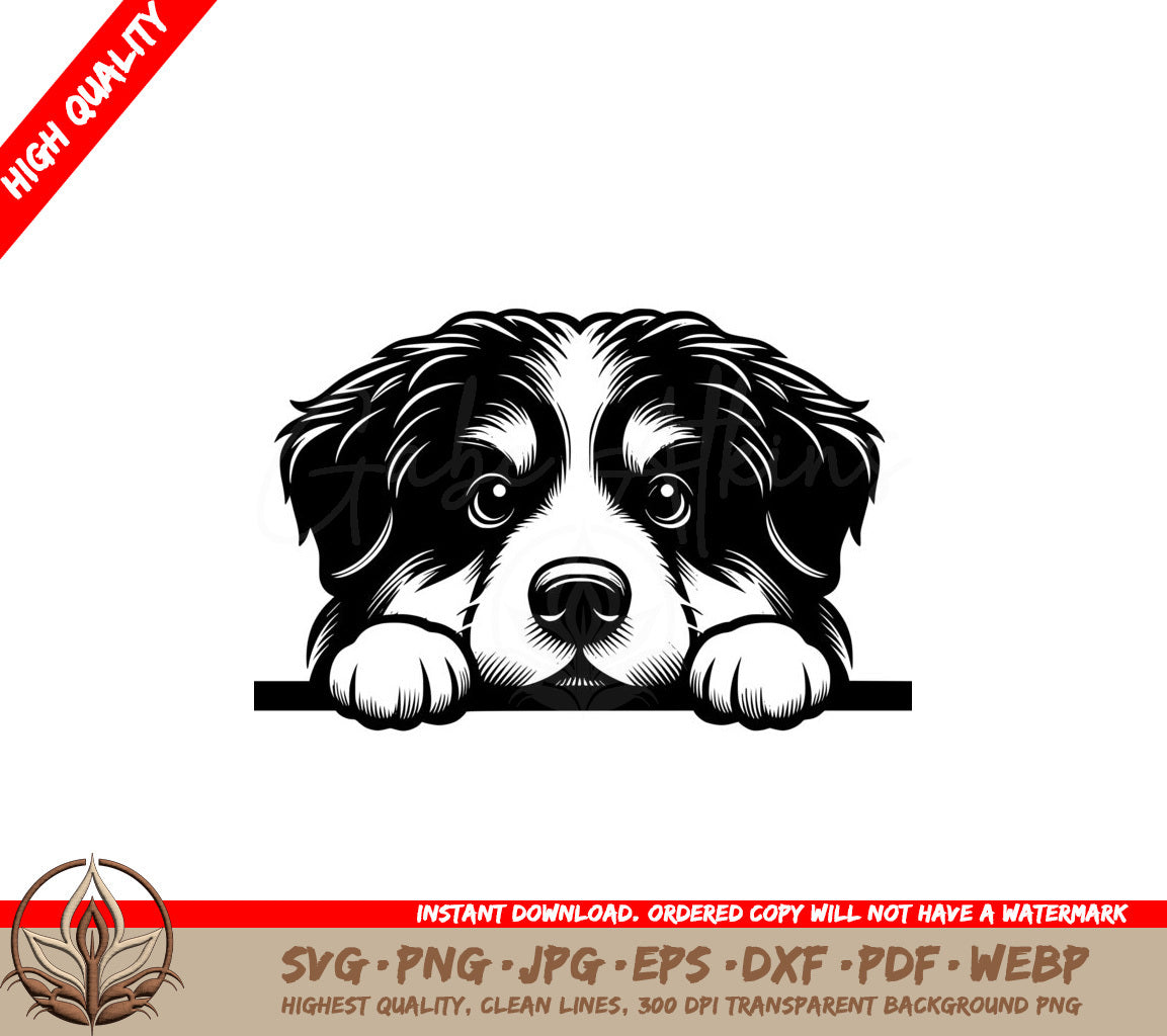 Peeking Miniature American Shepherd SVG