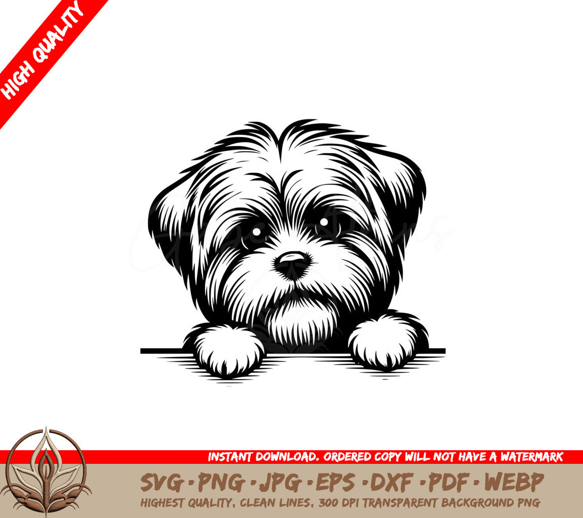 Peeking Morkie SVG - Digital Product File (8 Formats)