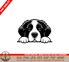 Peeking Saint Bernard SVG - Digital Product in Multiple Formats