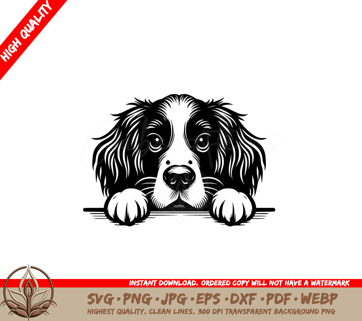 Peeking Springer Spaniel SVG