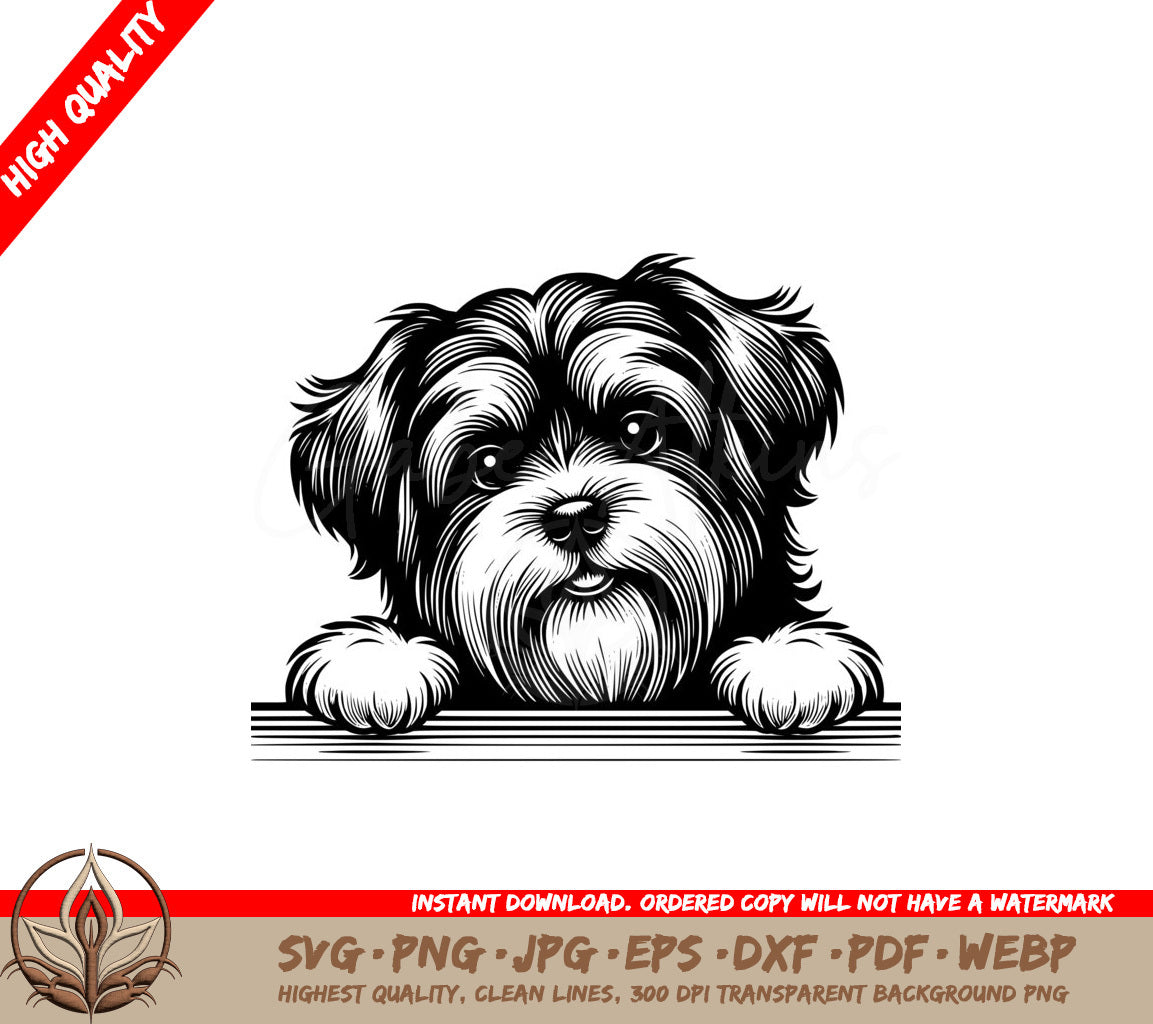 Peeking Tibetan Terrier SVG - Digital Product with Multiple File Formats