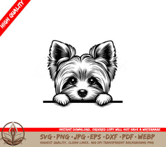 Peeky Yorkie - SVG PNG JPG AI PDF DXF EPS  WebP Digital Download 
