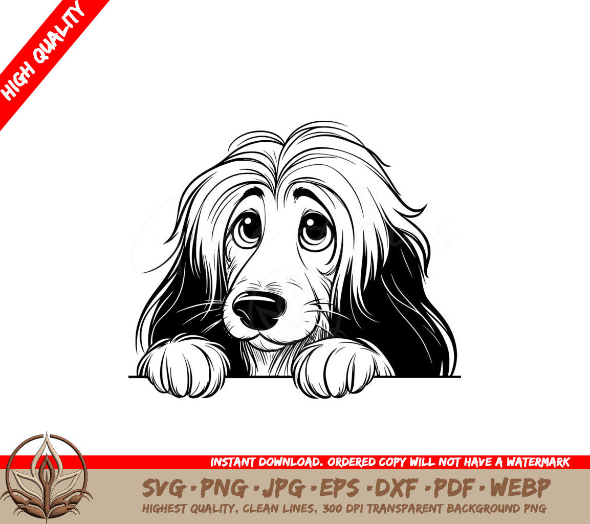 Peering Afghan Hound SVG 
