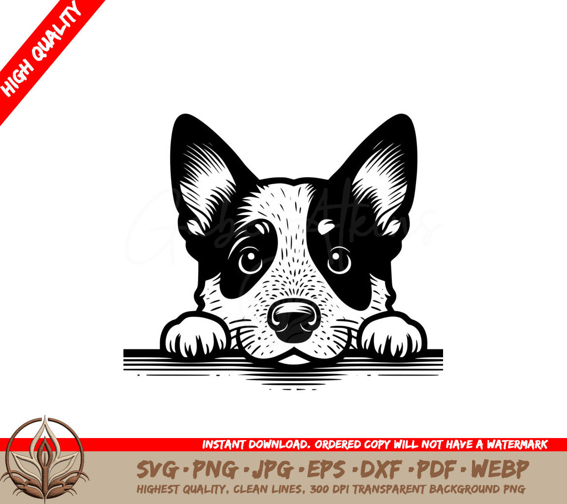 Peering Red Heeler SVG 
