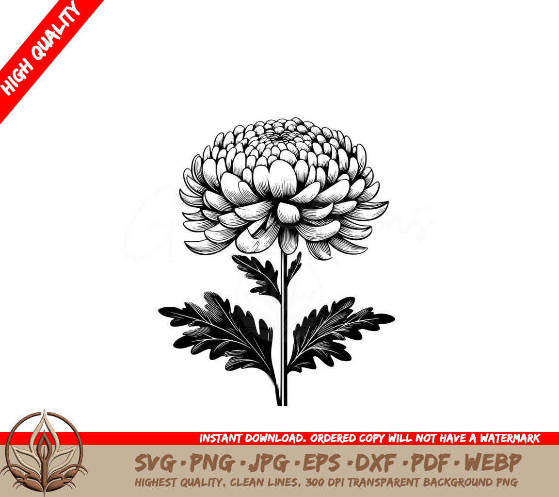 Perfected Chrysanthemum SVG PNG JPG AI PDF DXF EPS and WebP Digital Download 
