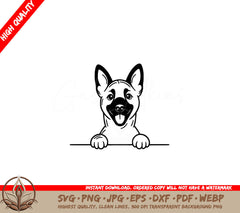 Playful Belgian Malinois Peeking SVG 
