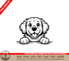 Playful Chesapeake Bay Retriever SVG 
