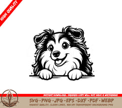 Playful Peekaboo Sheltie SVG 
