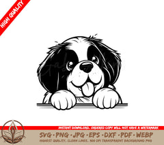 Playful Saint Bernard SVG 
