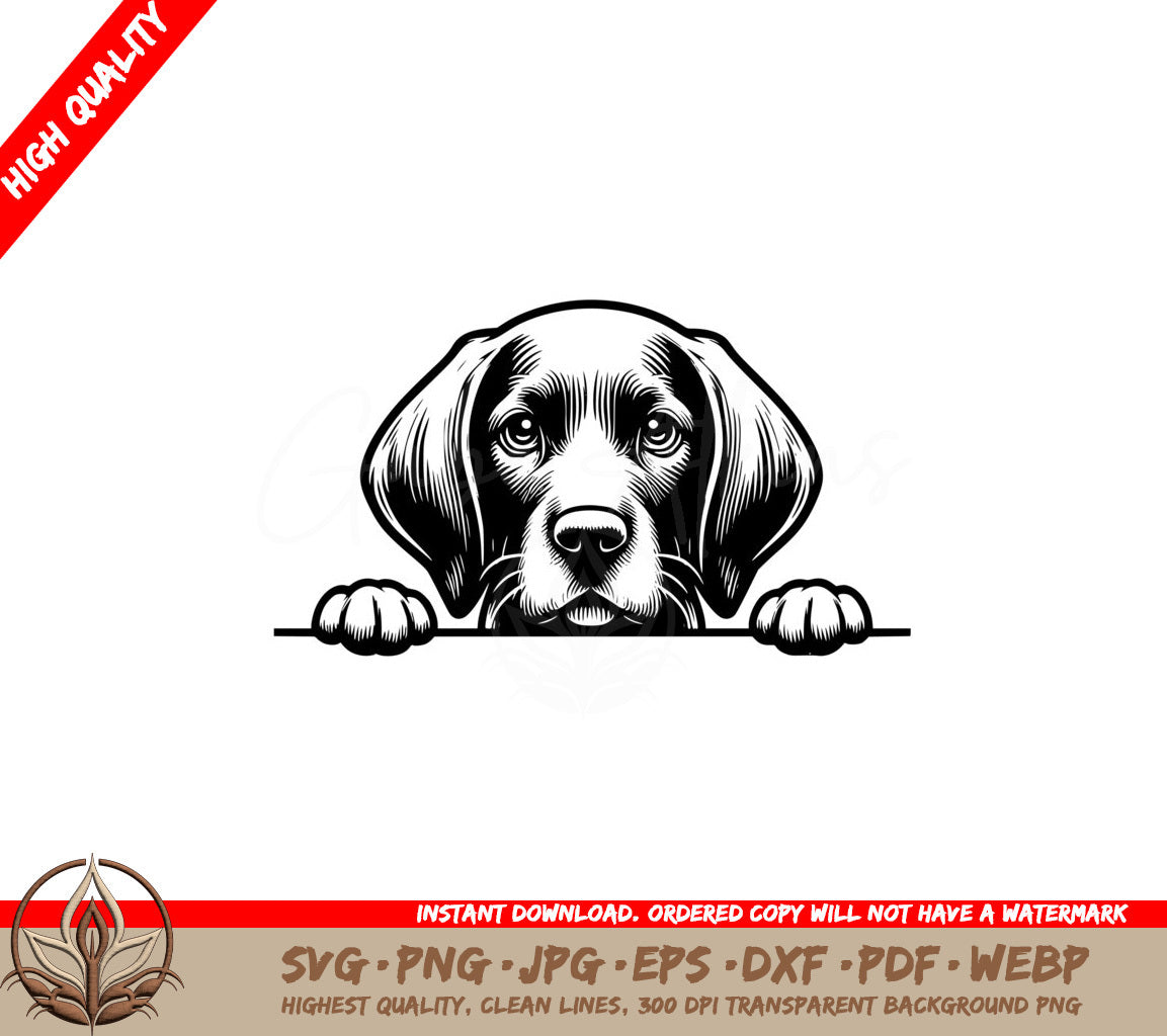 Pointer Doggy Stare SVG Cut File