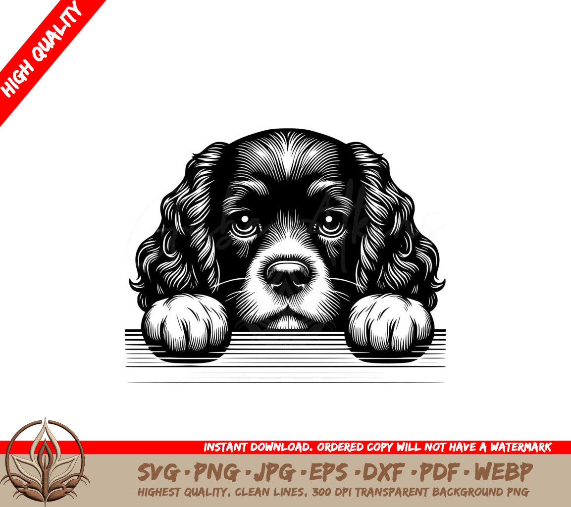 Pondering Boykin Spaniel SVG PNG JPG AI PDF DXF EPS and WebP Digital Download 
