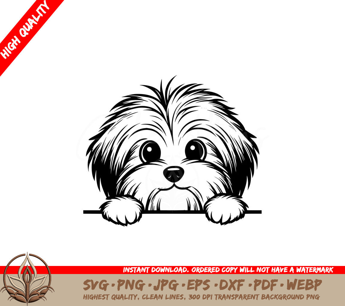 Precious Havanese SVG PNG JPG AI PDF DXF EPS and WebP - Digital Downloadable Files 
