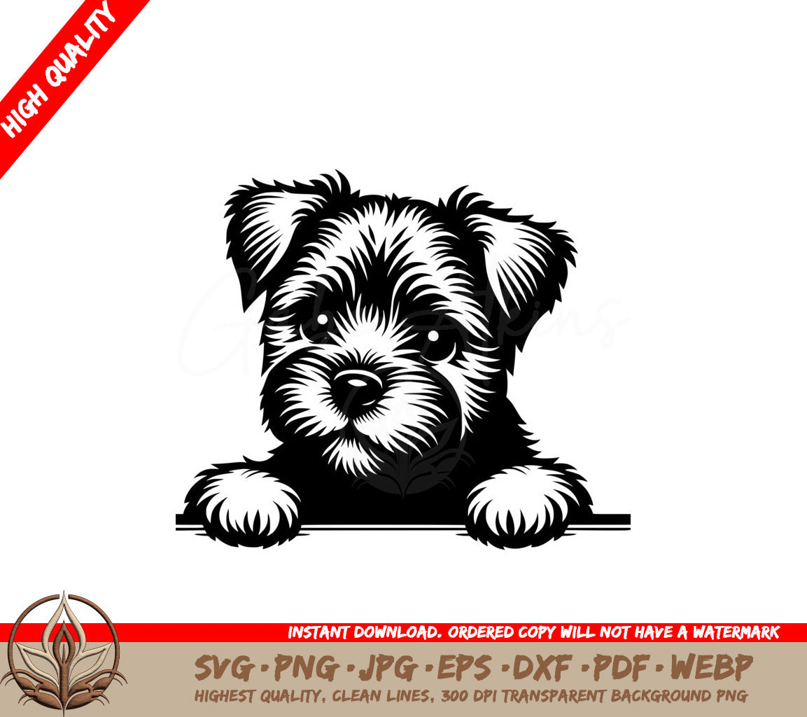 Puppy Eyed Border Terrier SVG