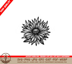 Radiant Aster Flower SVG PNG JPG AI PDF DXF EPS  WebP 
