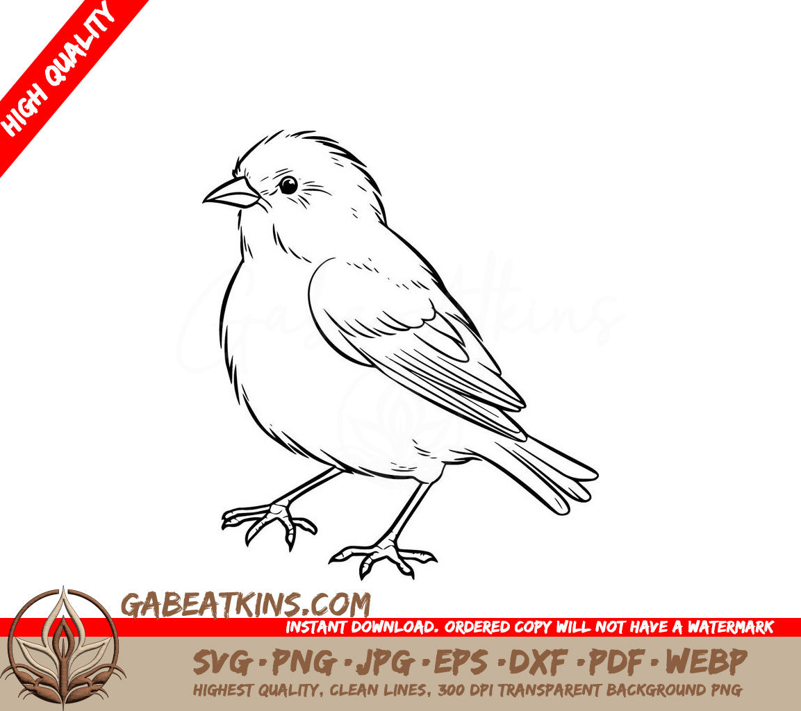  A Small Bird SVG - Realistic Canary SVG