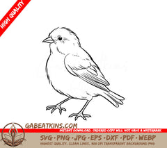  A Small Bird SVG - Realistic Canary SVG