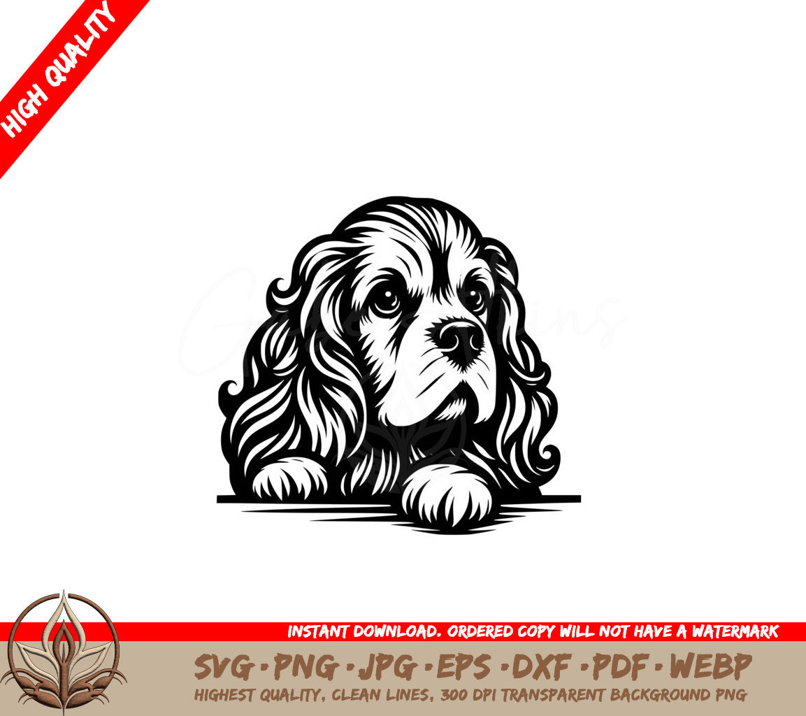 Regal Cocker Spaniel Stare SVG 
