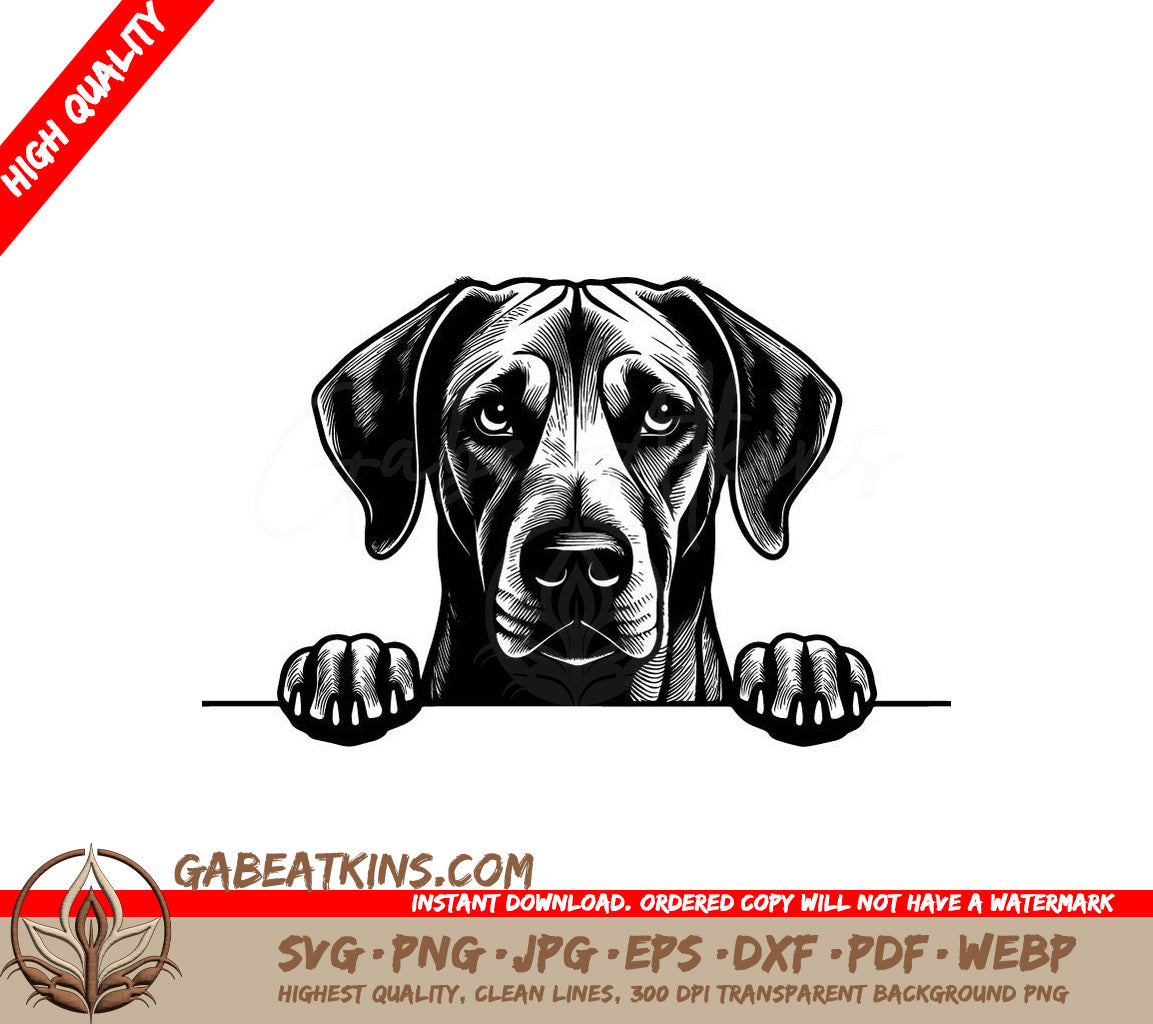 Rhodesian Ridgeback Dog Looking Over Wall -  SVG SVG