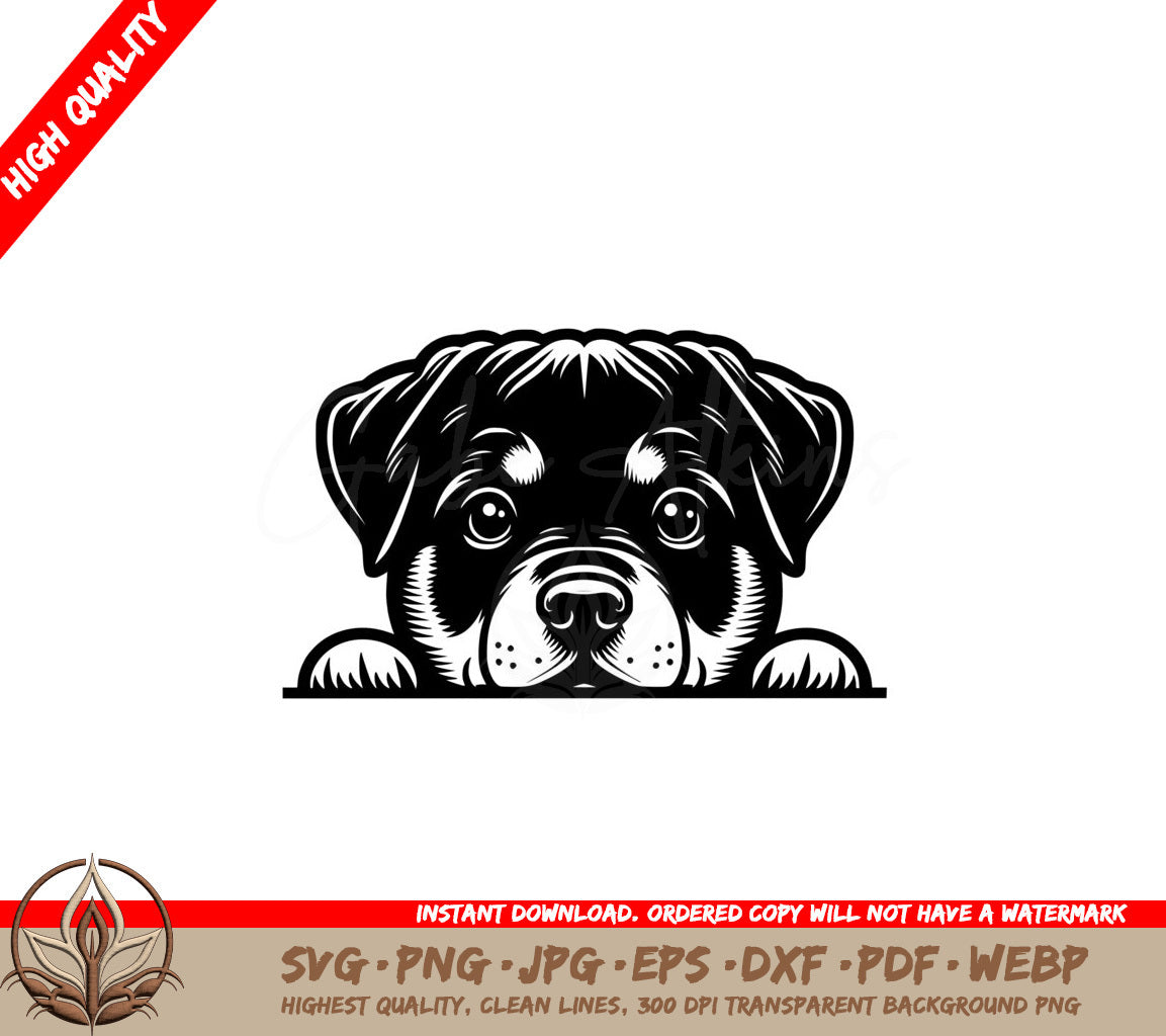 Rottweiler Peeking SVG - Digital Download 
