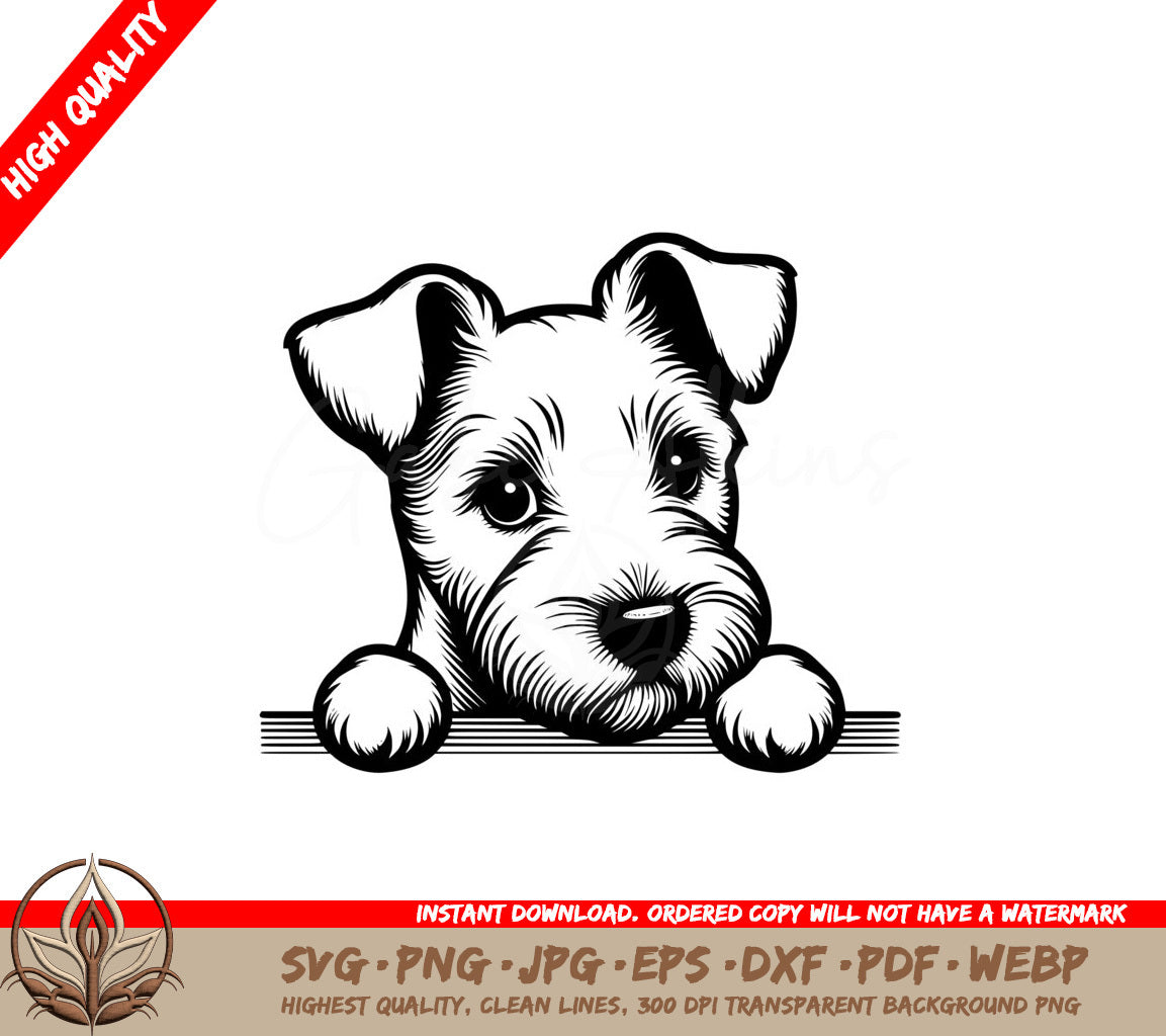 Russell Terrier Gaze SVG PNG JPG AI PDF DXF EPS and WebP Digital Download 
