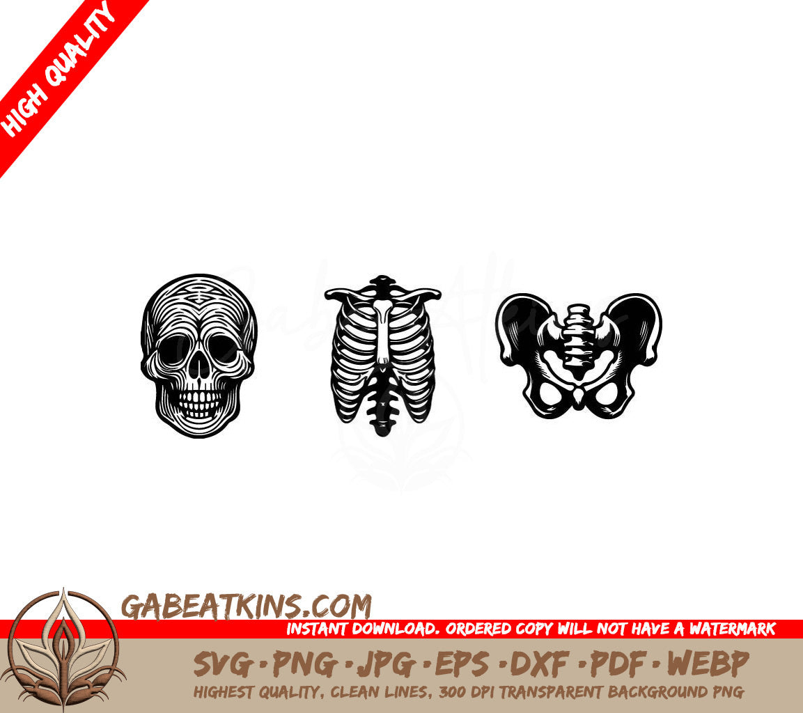 Human Skeleton SVG Bundle Skull, Skeleton, and Pelvis SVG