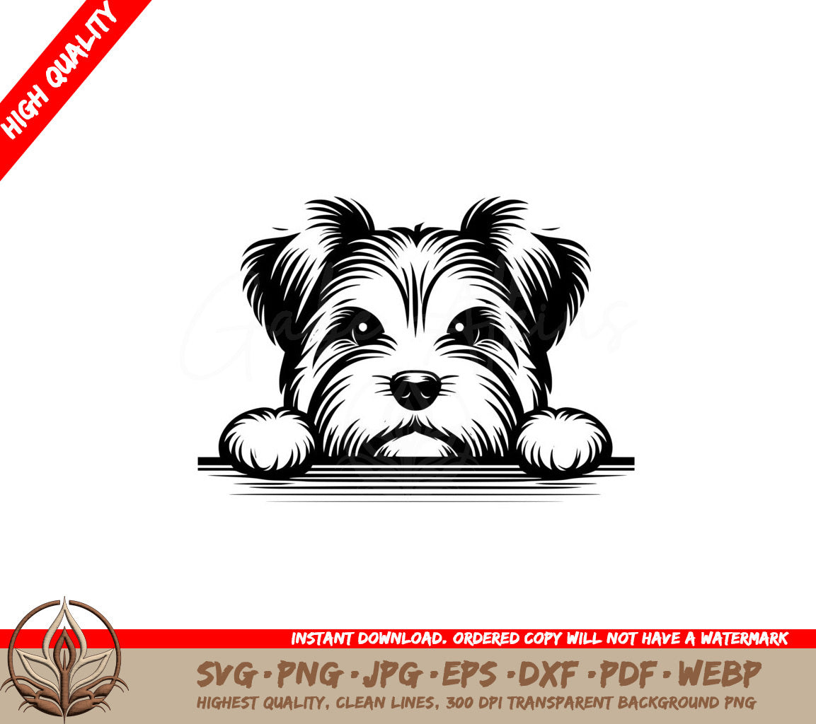 Shaggy Biewer Terrier Pup SVG 
