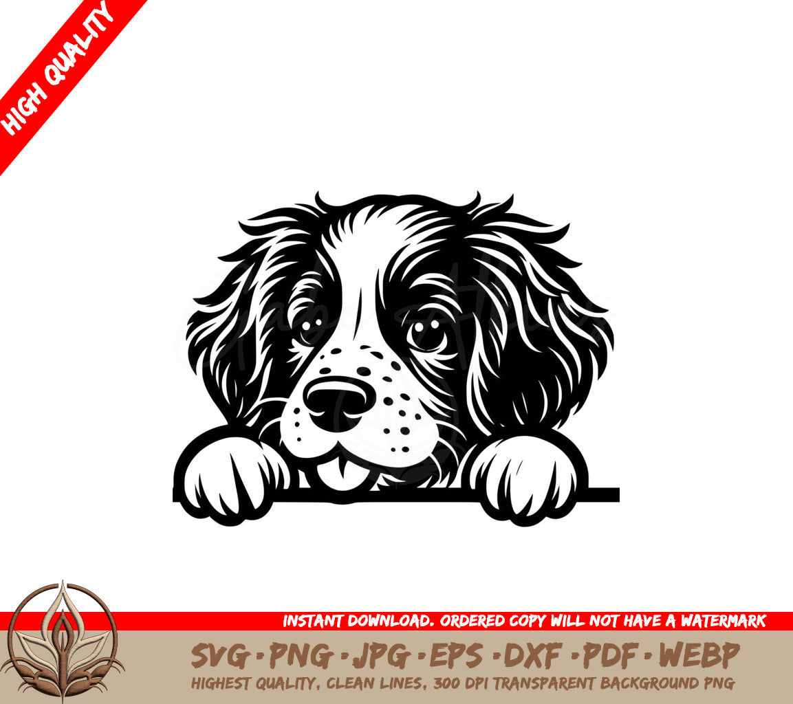 Shaggy Brittany Spaniel Gaze SVG 
