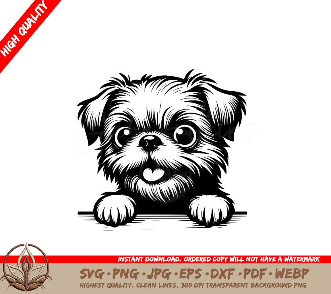 Shaggy Brussels Griffon SVG Cut File - Digital Download 
