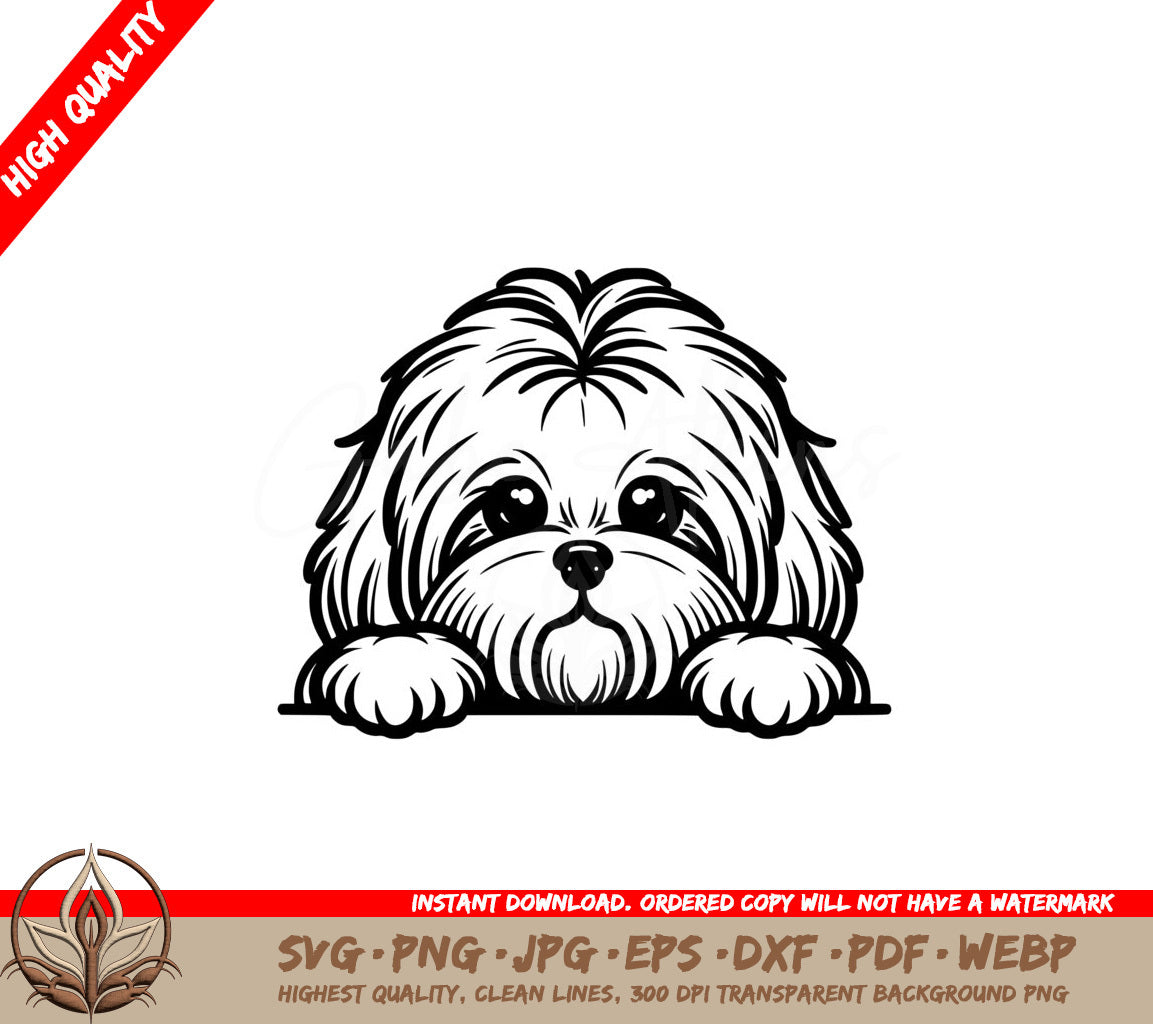 Shaggy Coton Gazer SVG 
