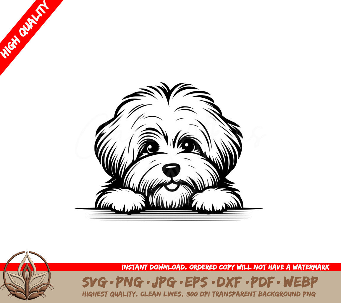 Shaggy Coton Pooch SVG