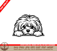 Shaggy Eyed Cotons De Tulear SVG 
