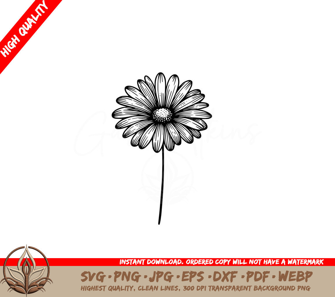 Simple Daisy Bloom SVG PNG JPG AI PDF DXF EPS  WebP Digital Download 
