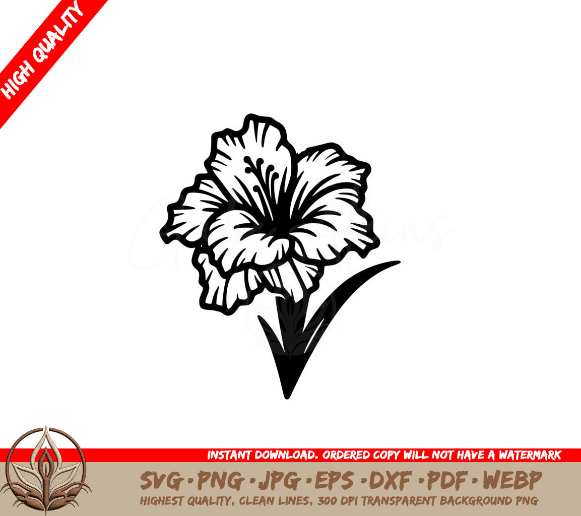 Simplistic Gladiolus SVG PNG JPG AI PDF DXF EPS and WebP Digital Download 
