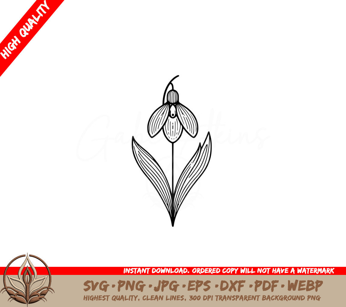 Snowdrop Grace SVG PNG JPG AI PDF DXF EPS  WebP - Digital Download 
