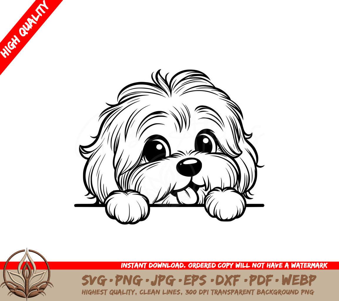 Soft-eyed Havanese SVG PNG JPG AI PDF DXF EPS and WebP Digital Download 
