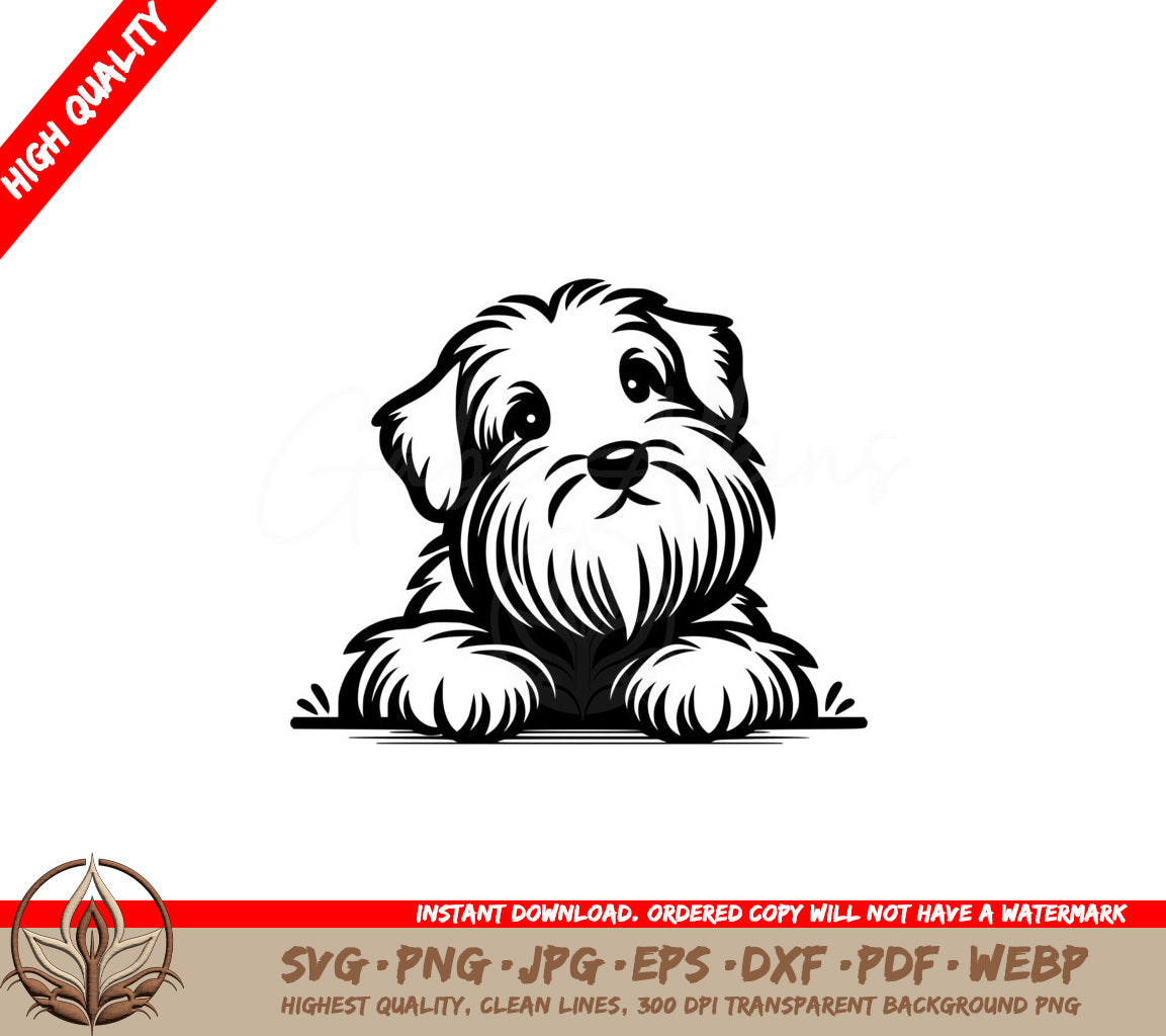 Soft-eyed Wheaten Terrier SVG PNG JPG AI PDF DXF EPS and WebP Digital Download 
