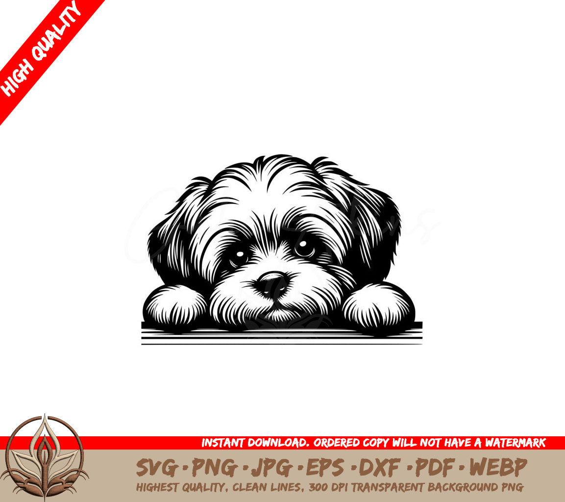 Soft Gaze Morkie SVG 
