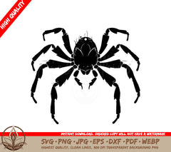 Spider Digital Design File in SVG, PNG, JPG, AI, PDF, DXF, EPS and WebP Formats 
