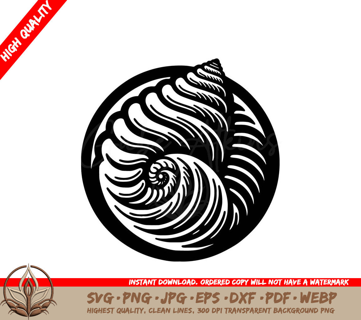 Spiraled Seashell - Digital Design in Multiple File Formats (SVG, PNG, JPG, AI, PDF, DXF, EPS, WebP) 
