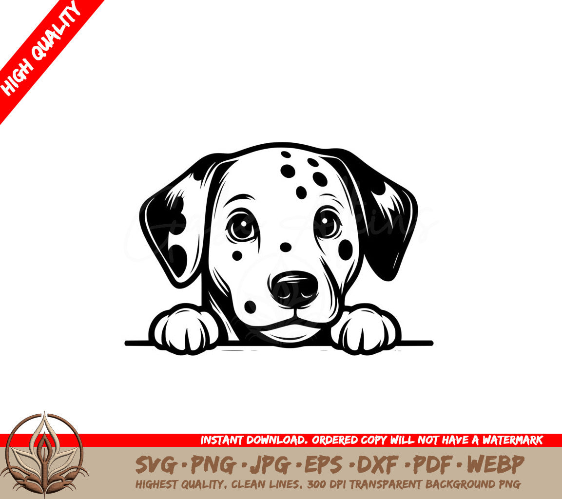 Spotted Dalmatian Gaze SVG 
