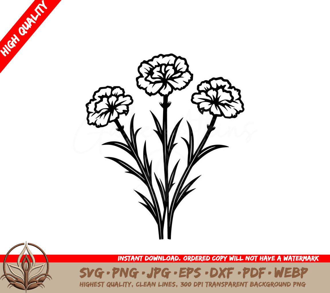 Spring Carnations Digital Design in Multiple File Formats (SVG, PNG, JPG, AI, PDF, DXF, EPS, WebP) 
