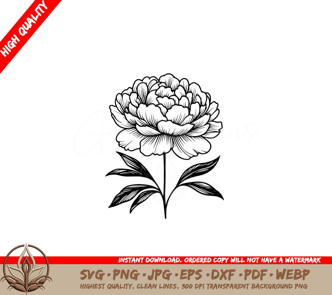 Springtime Peony SVG 
