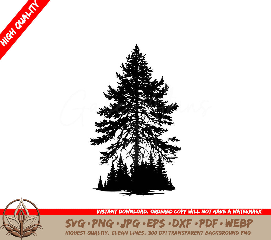 Spruce Tree - Digital Download in SVG, PNG, JPG, AI, PDF, DXF, EPS and WebP Formats 
