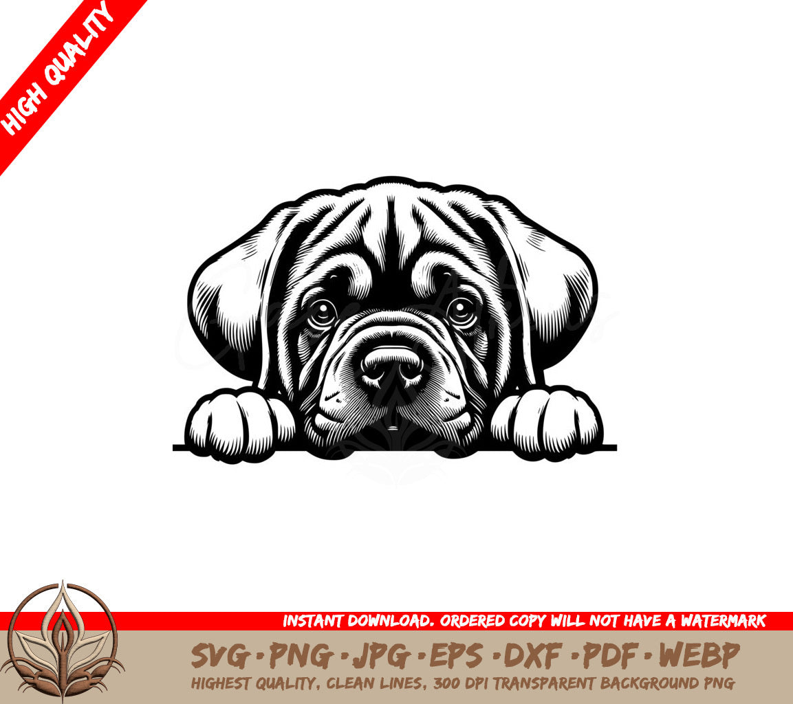 Stern Mastiff Gaze SVG PNG JPG AI PDF DXF EPS  WebP Digital Download 
