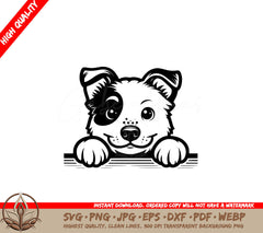 Sweet Australian Cattle Dog SVG 
