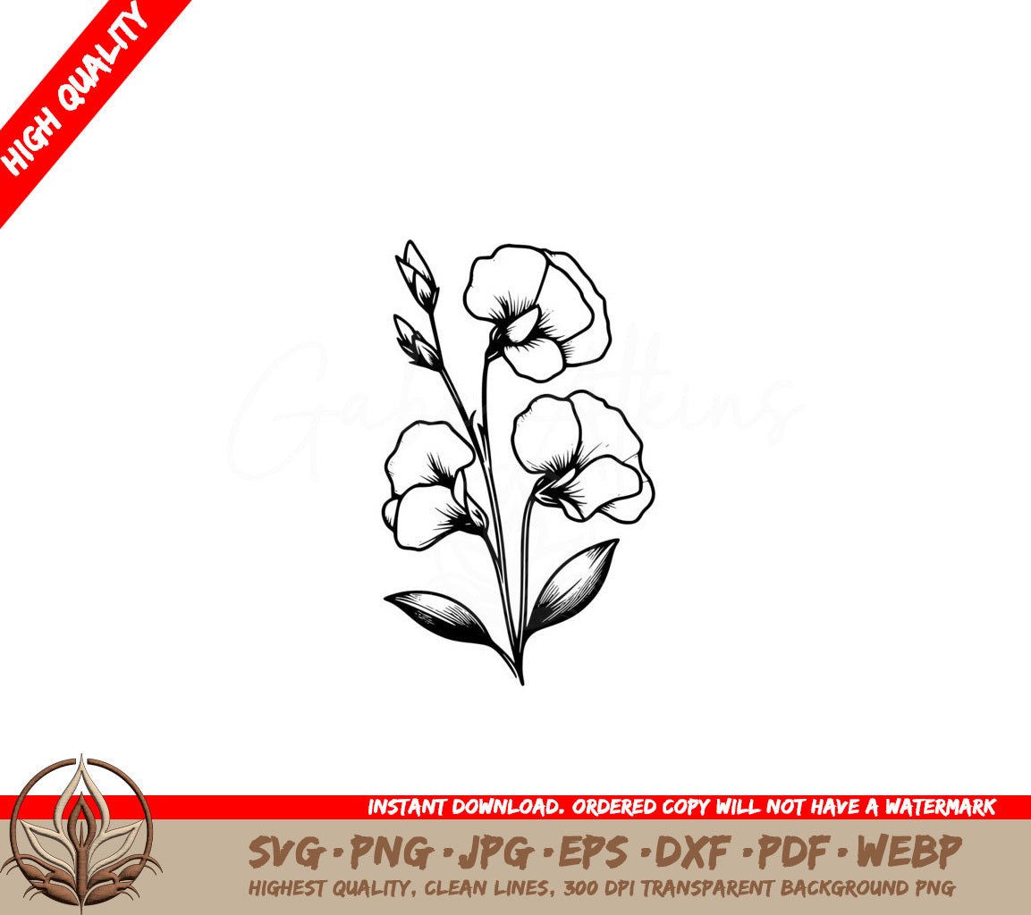 Sweet Pea Grace SVG PNG JPG AI PDF DXF EPS and WebP Digital Cut File 
