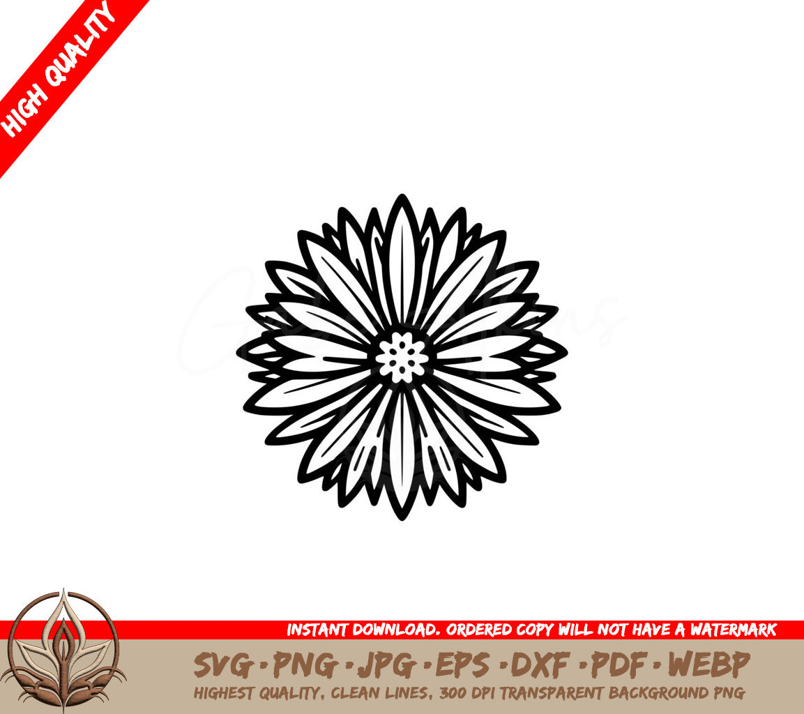 Symmetrical Aster Bloom SVG PNG JPG AI PDF DXF EPS  WebP Digital Download 
