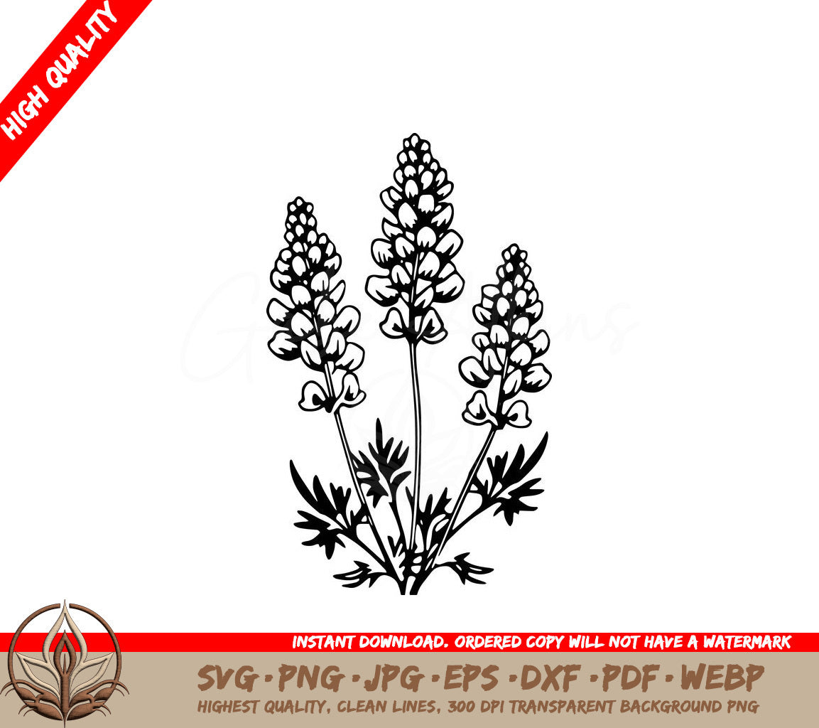 Texas Wildflowers Digital Design in SVG, PNG, JPG, AI, PDF, DXF, EPS and WebP Formats 
